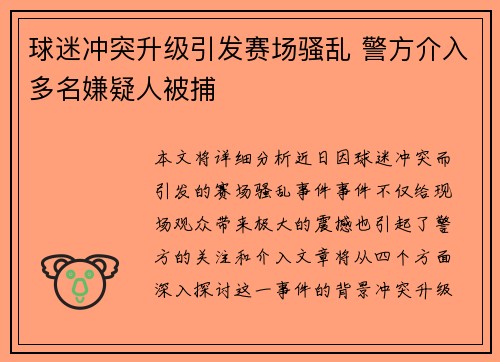 球迷冲突升级引发赛场骚乱 警方介入多名嫌疑人被捕